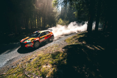 SUMAVA-2026-FX_PetrJura-81